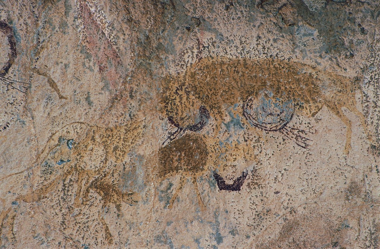 Animaux sauvages (peinture rupestre) - Prehistoric Prehistoric