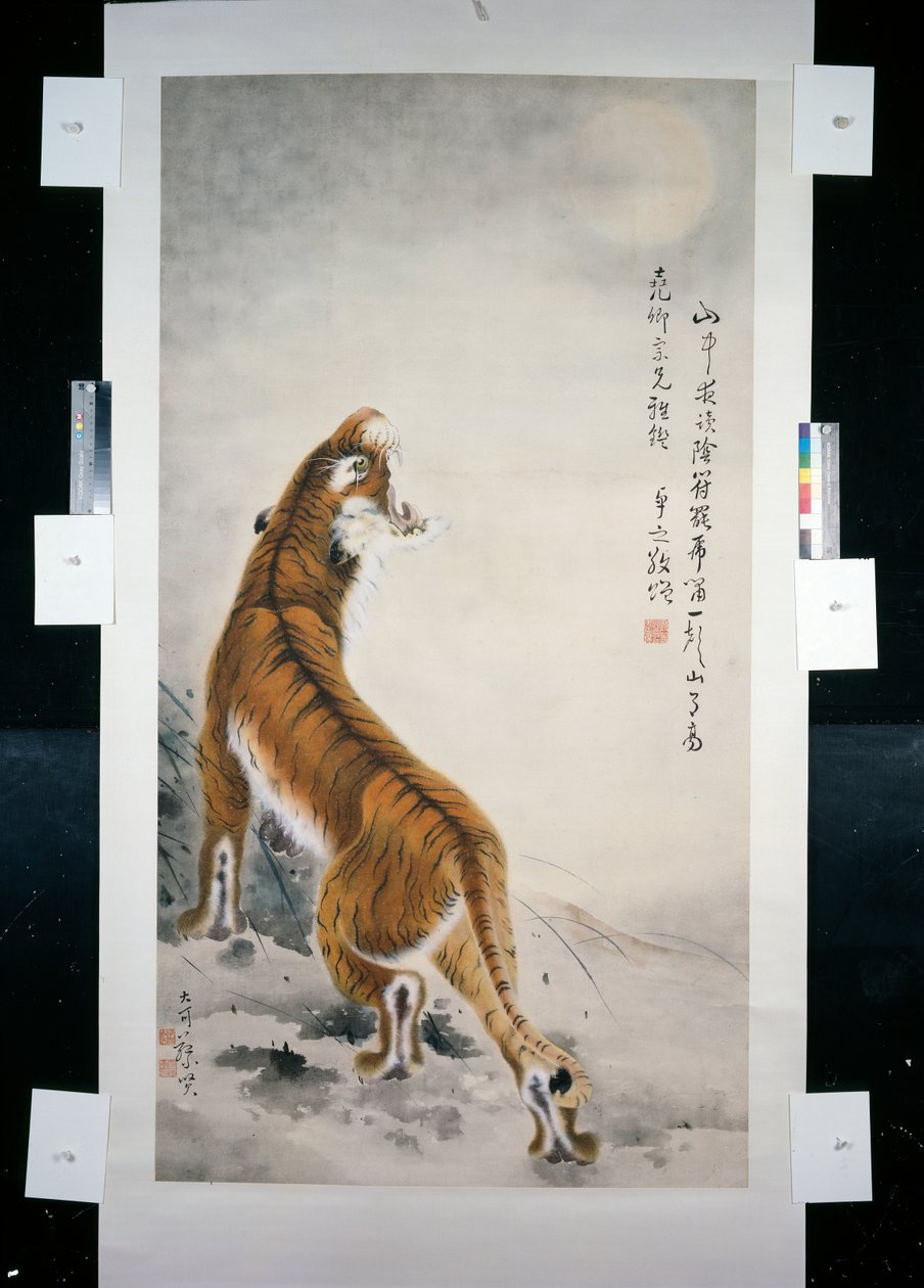 Tigre - Qifeng Gao