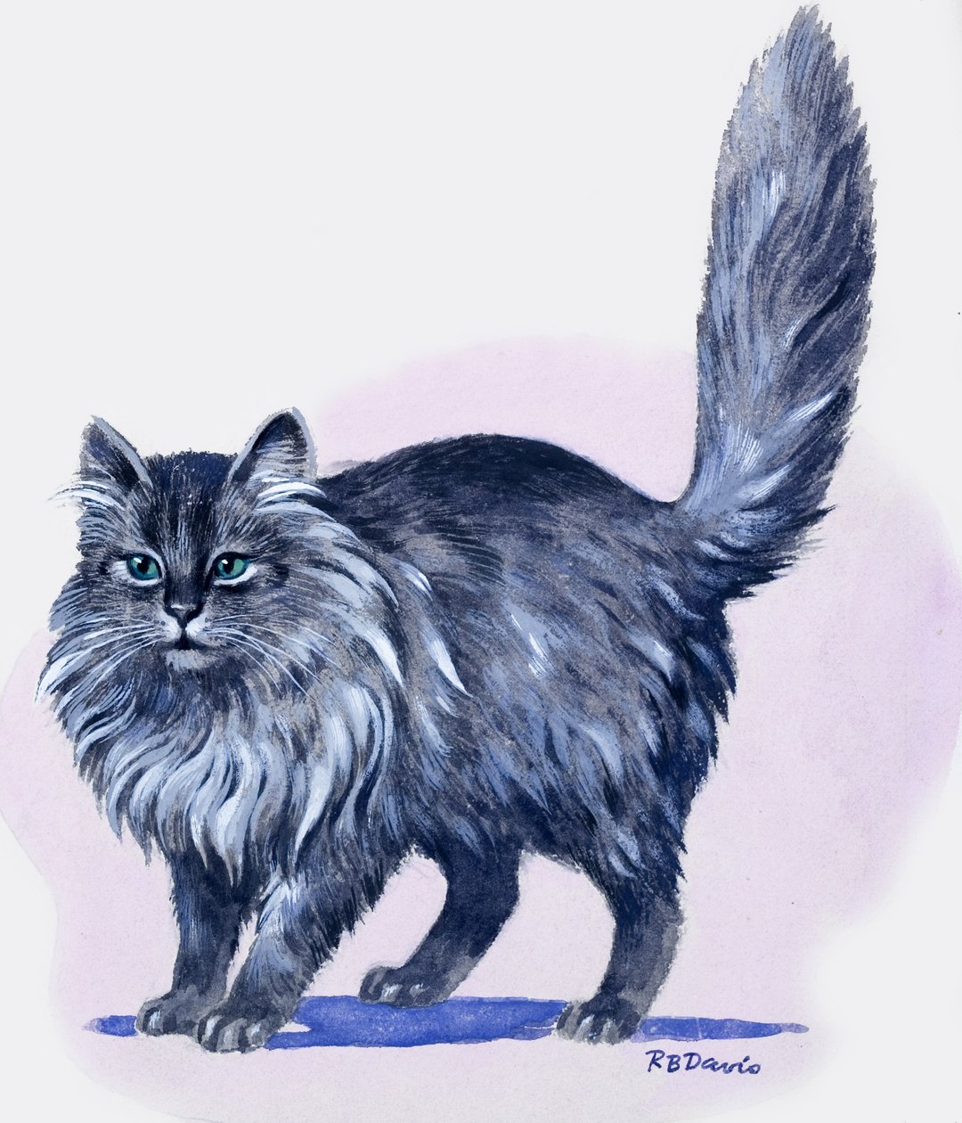 Chat persan, extrait de "Treasure" (Trésor) - R.B. Davis