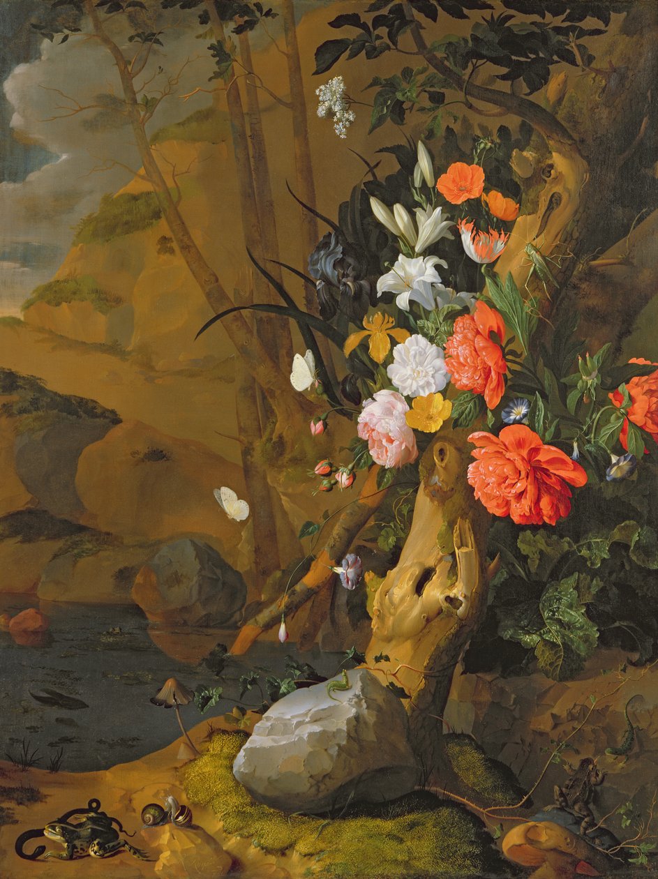 Image inconnue - Rachel Ruysch