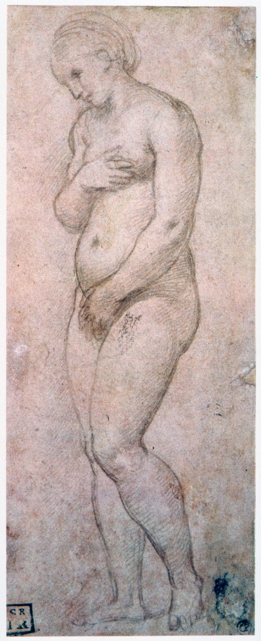 Étude de Vénus, vers 1500-1520 - Raffaello Sanzio Raphael