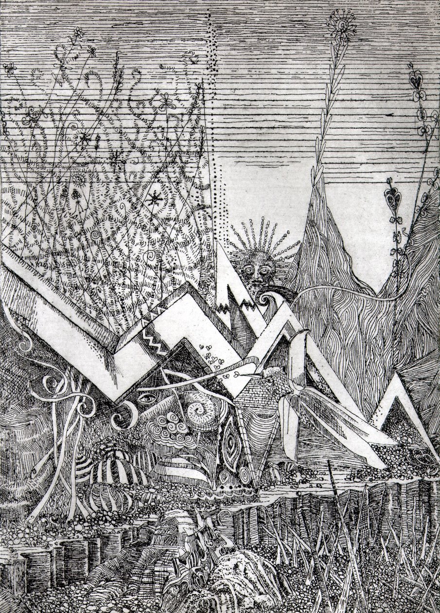 Colibri - Raimondo Gambino
