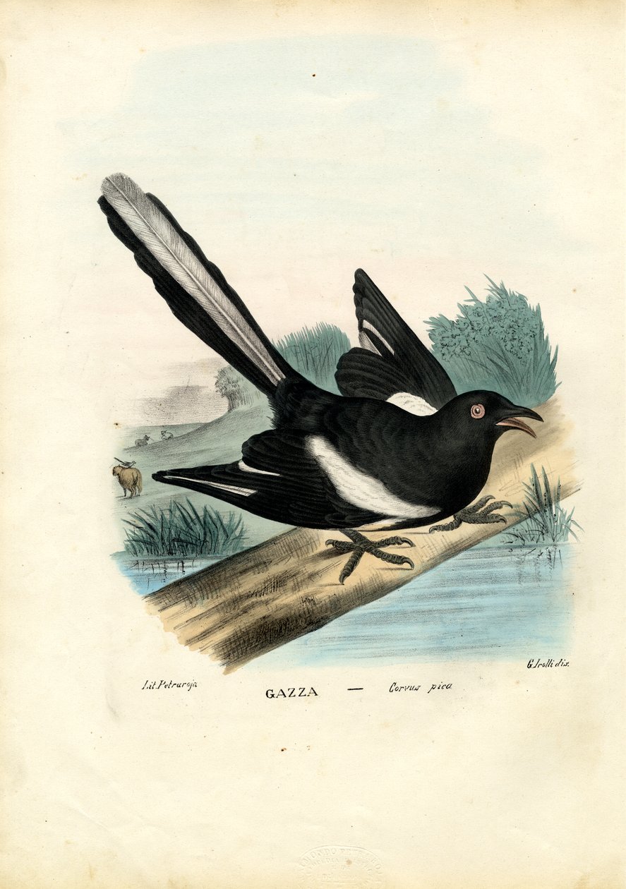 Pie, 1863-79 - Raimundo Petraroja