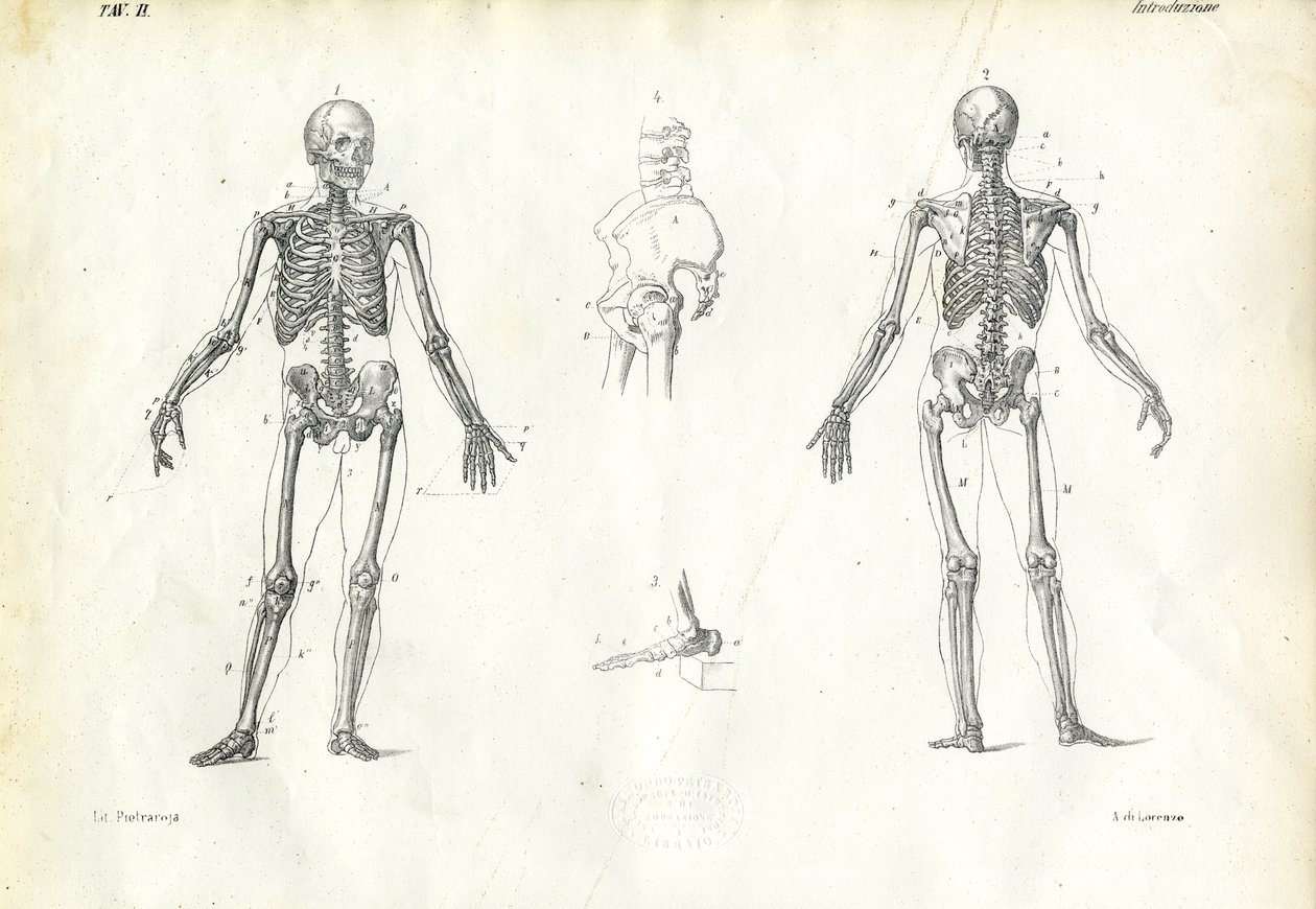 Être Humain, 1863-79 - Raimundo Petraroja