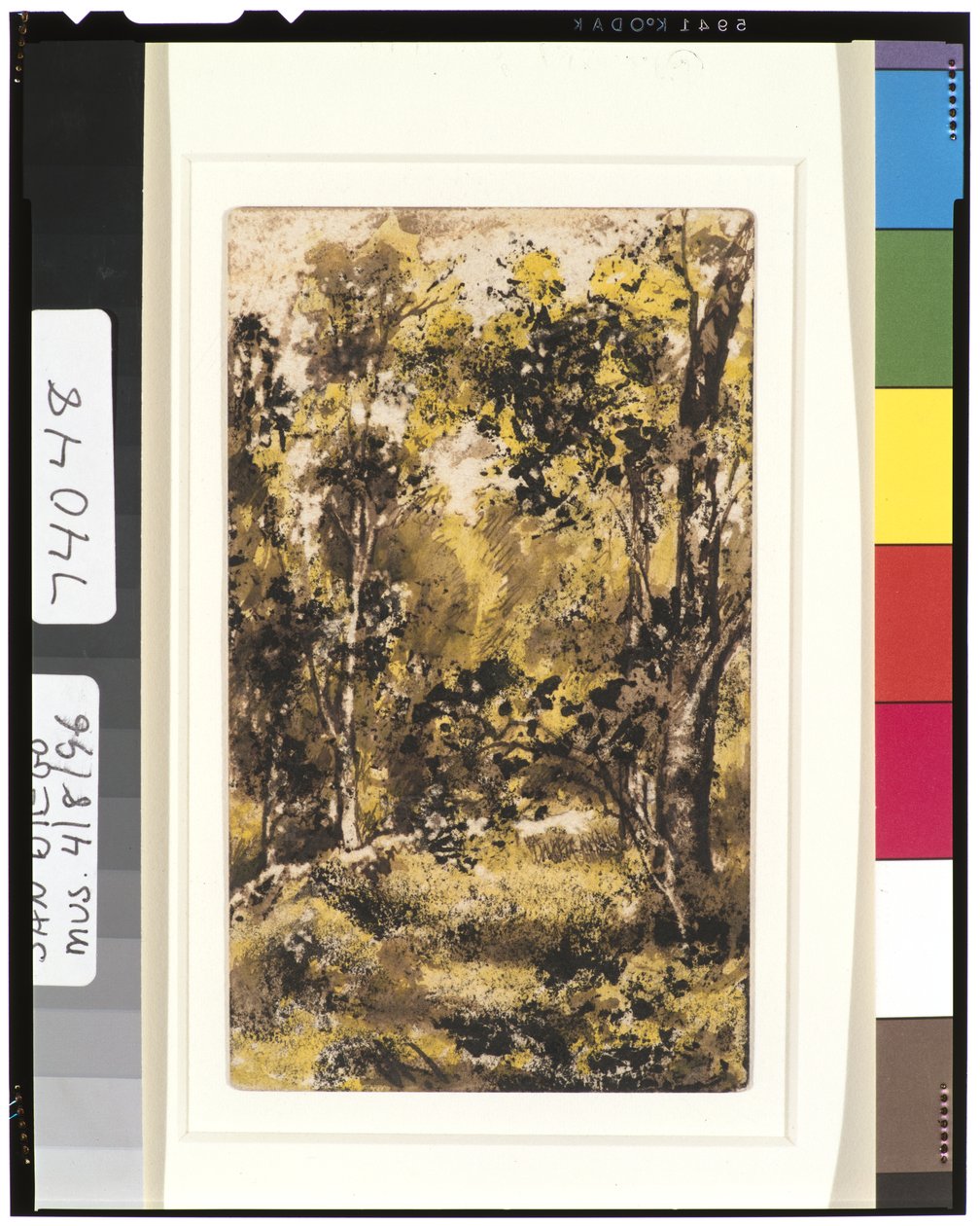 Scène de forêt, 1901-15 - Ralph Albert Blakelock