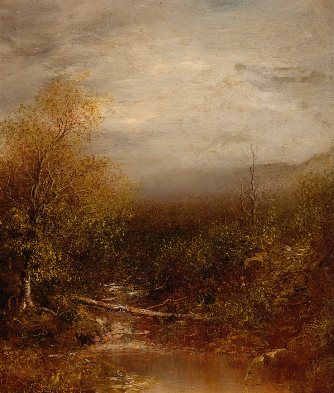 Étang dans les Adirondacks - Ralph Albert Blakelock