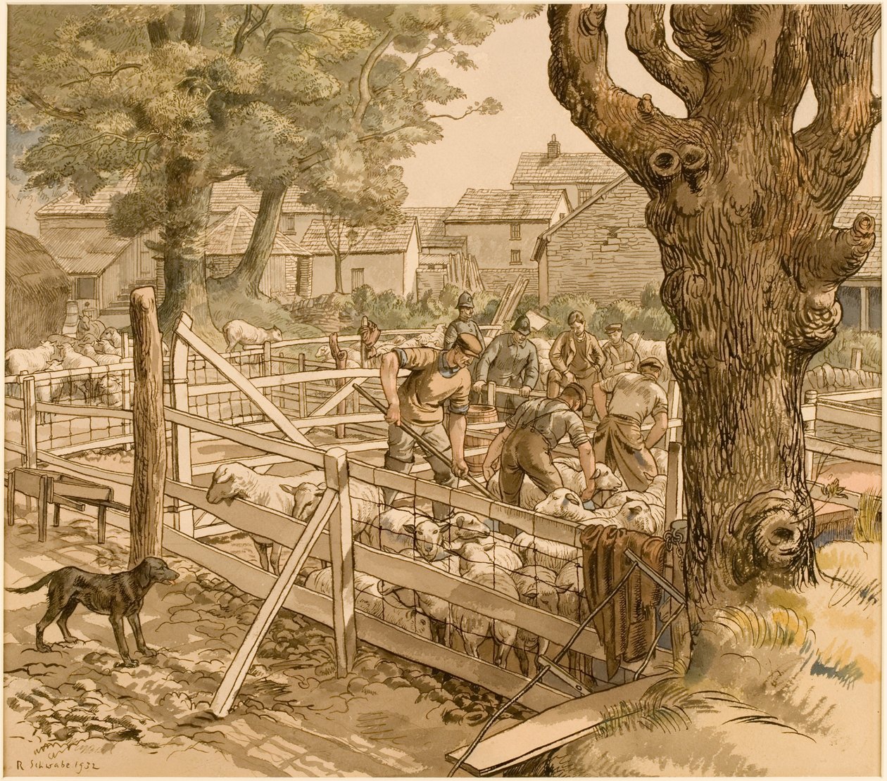 Tonte des moutons en Cornouailles - Randolph Schwabe