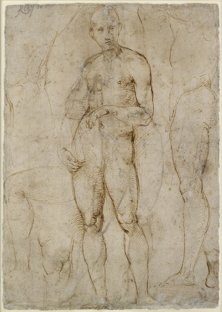Verso : Étude de nu pour un Saint Paul, WA1846.163 - Raffaello Sanzio Raphael