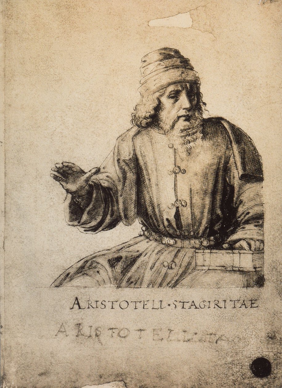 Aristote - Raffaello Sanzio Raphael