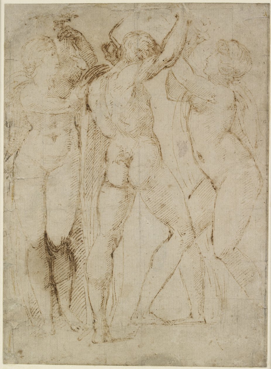 Groupe de vendangeurs - Raffaello Sanzio Raphael