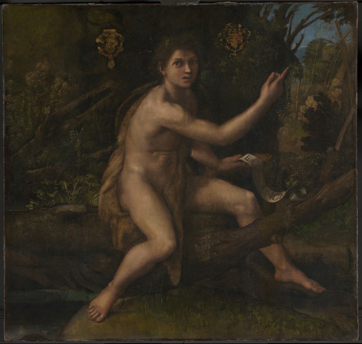 Saint Jean-Baptiste - Raphael (1483 1520)