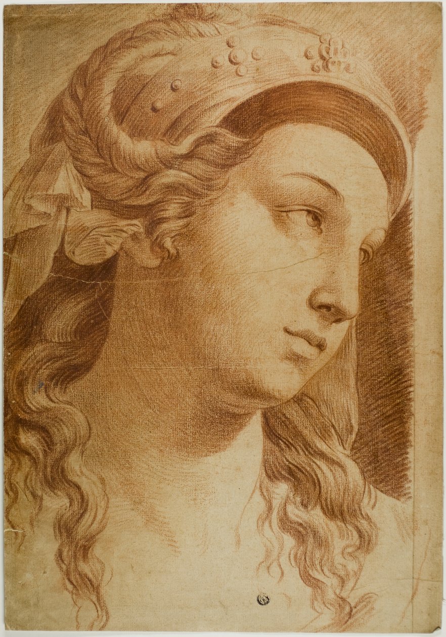 Tête de Comity - Raphael