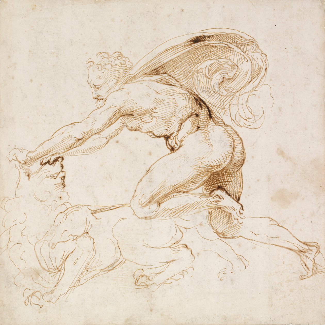 Hercule maîtrisant un lion, vers 1500-1520 - Raphael