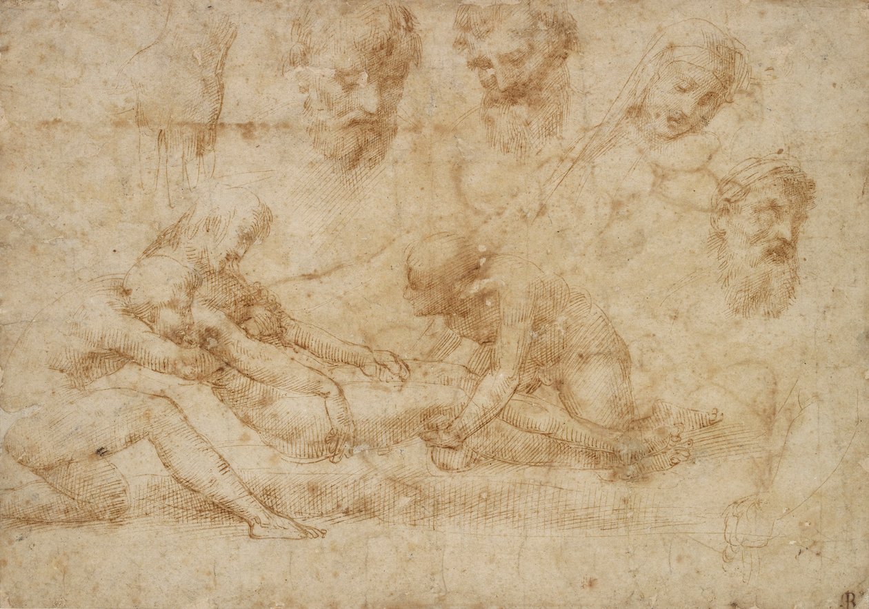 Études pour une Déposition, début du 16e siècle - Raphael