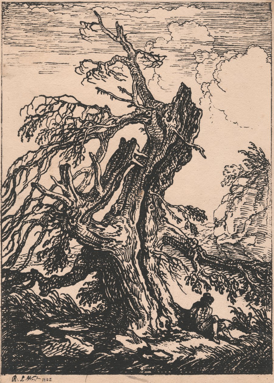 Étude d