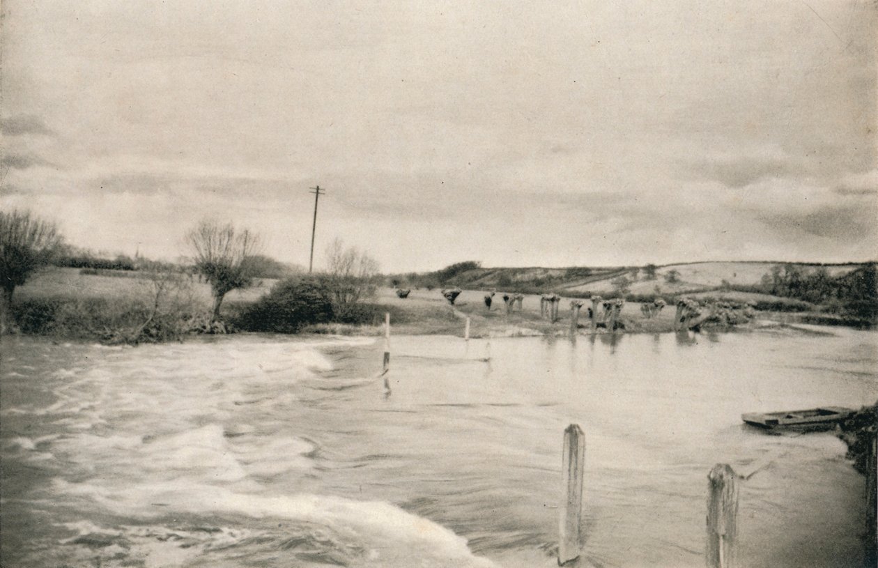 La rivière Avon - Reginald Belfield
