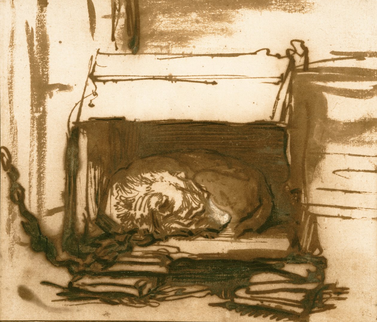 Chien de garde endormi - Rembrandt van Rijn