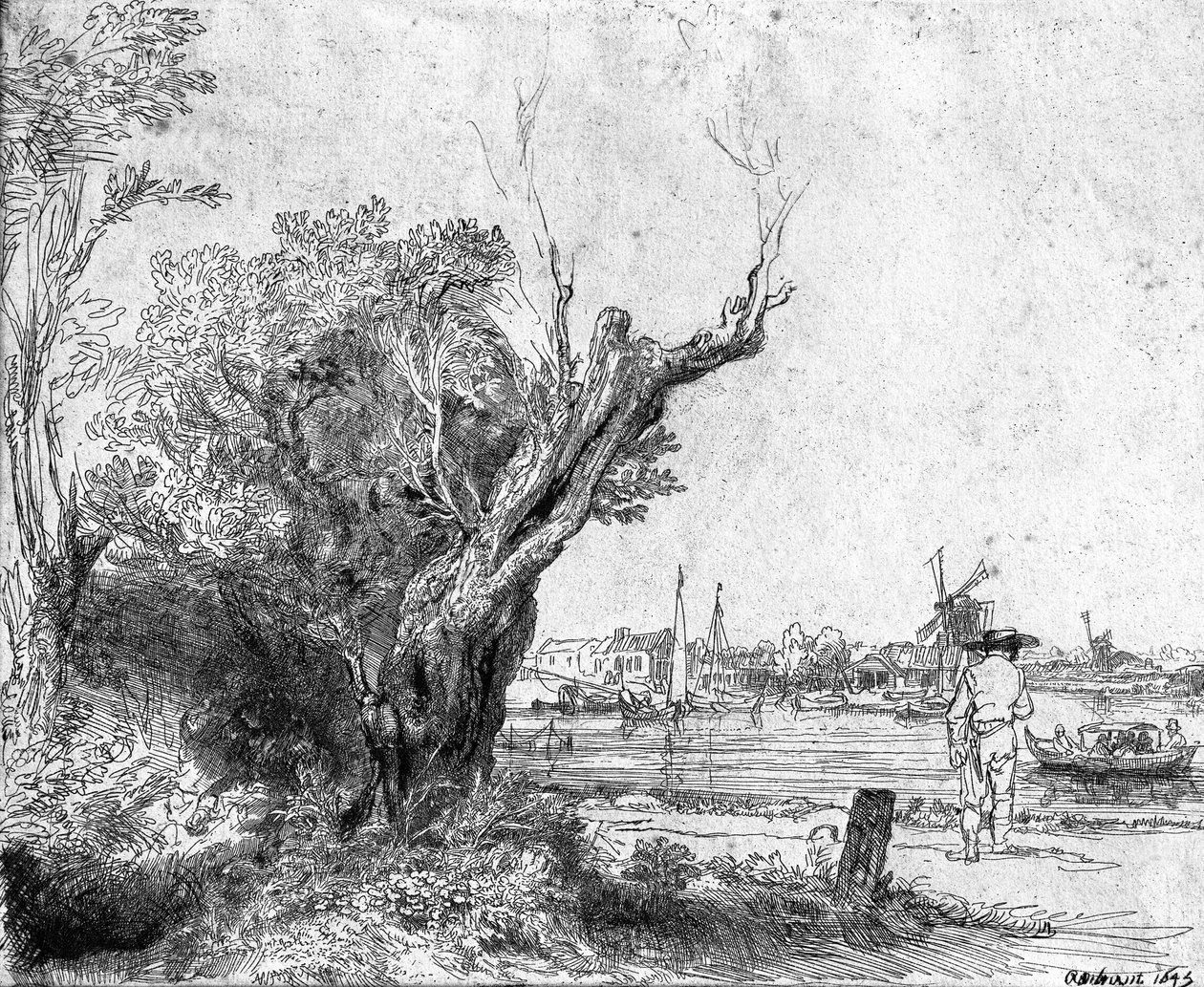 Vue d