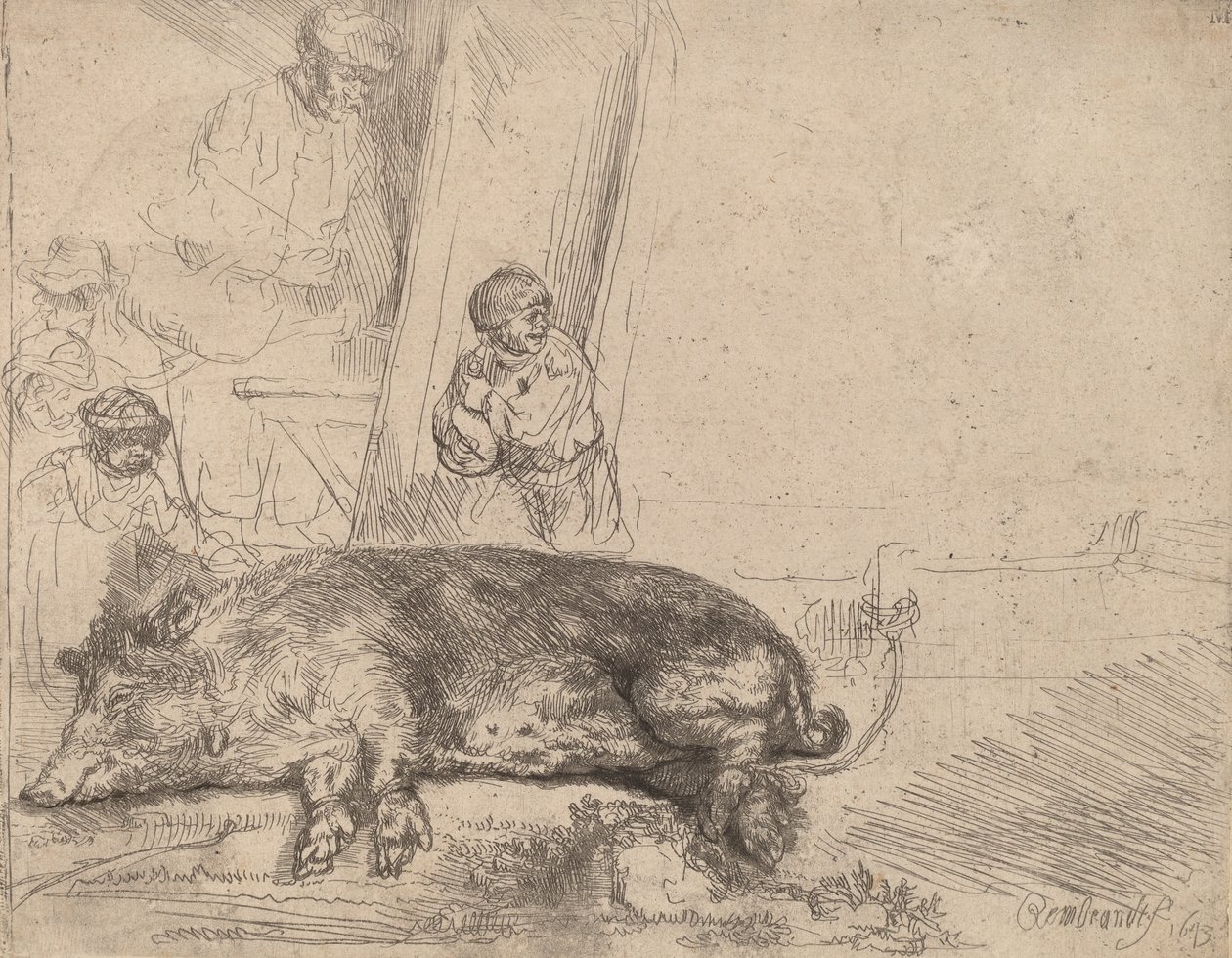 Le Cochon, 1643 - Rembrandt van Rijn