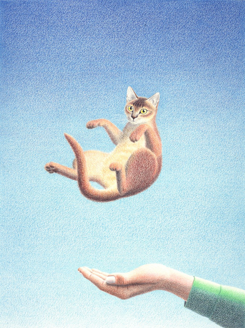 Attraper - Rene Boin