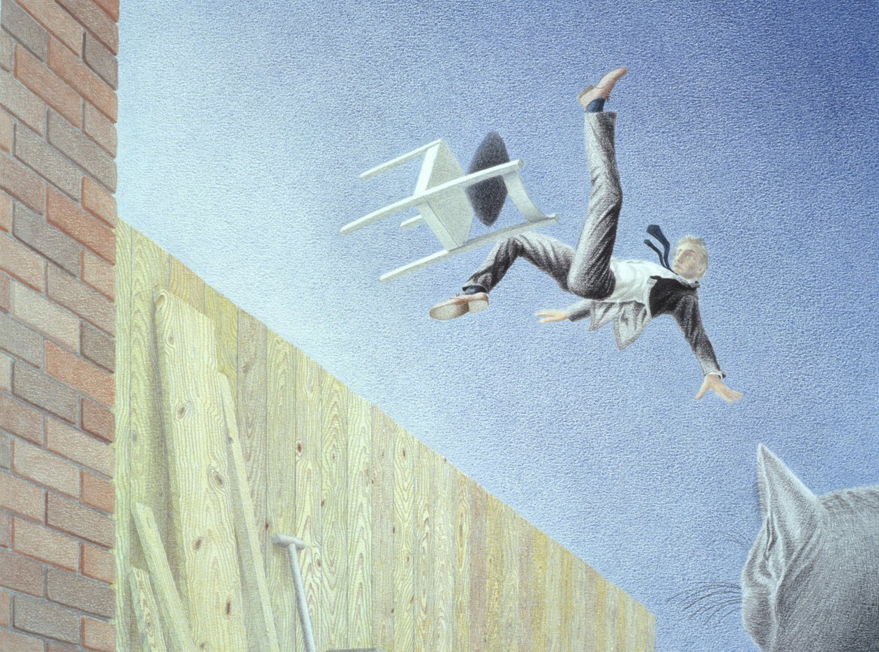 Par-dessus la clôture - Rene Boin