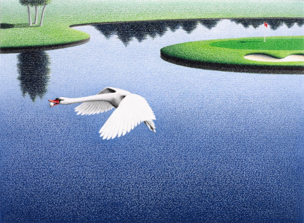 Lac des cygnes - Rene Boin