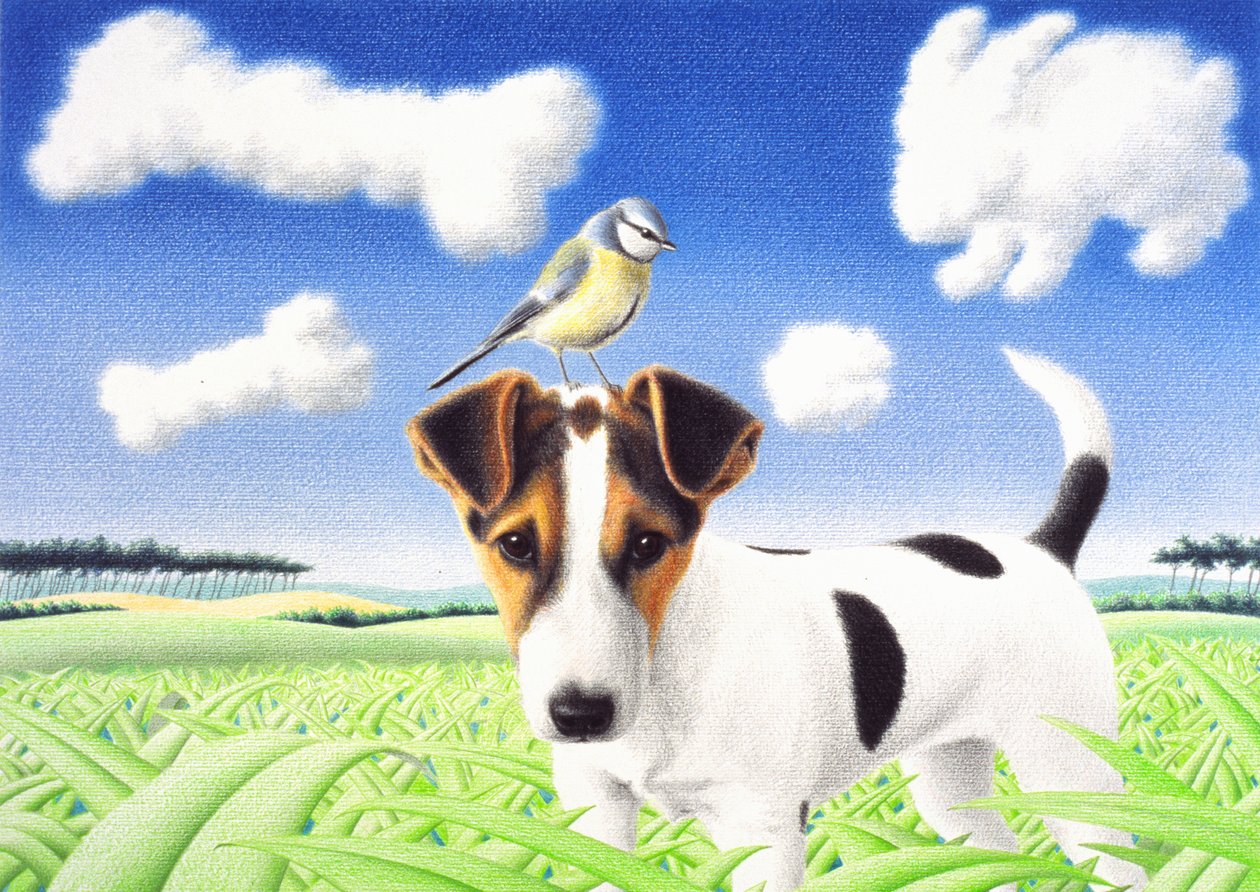 Pensées, 2004 - Rene Boin