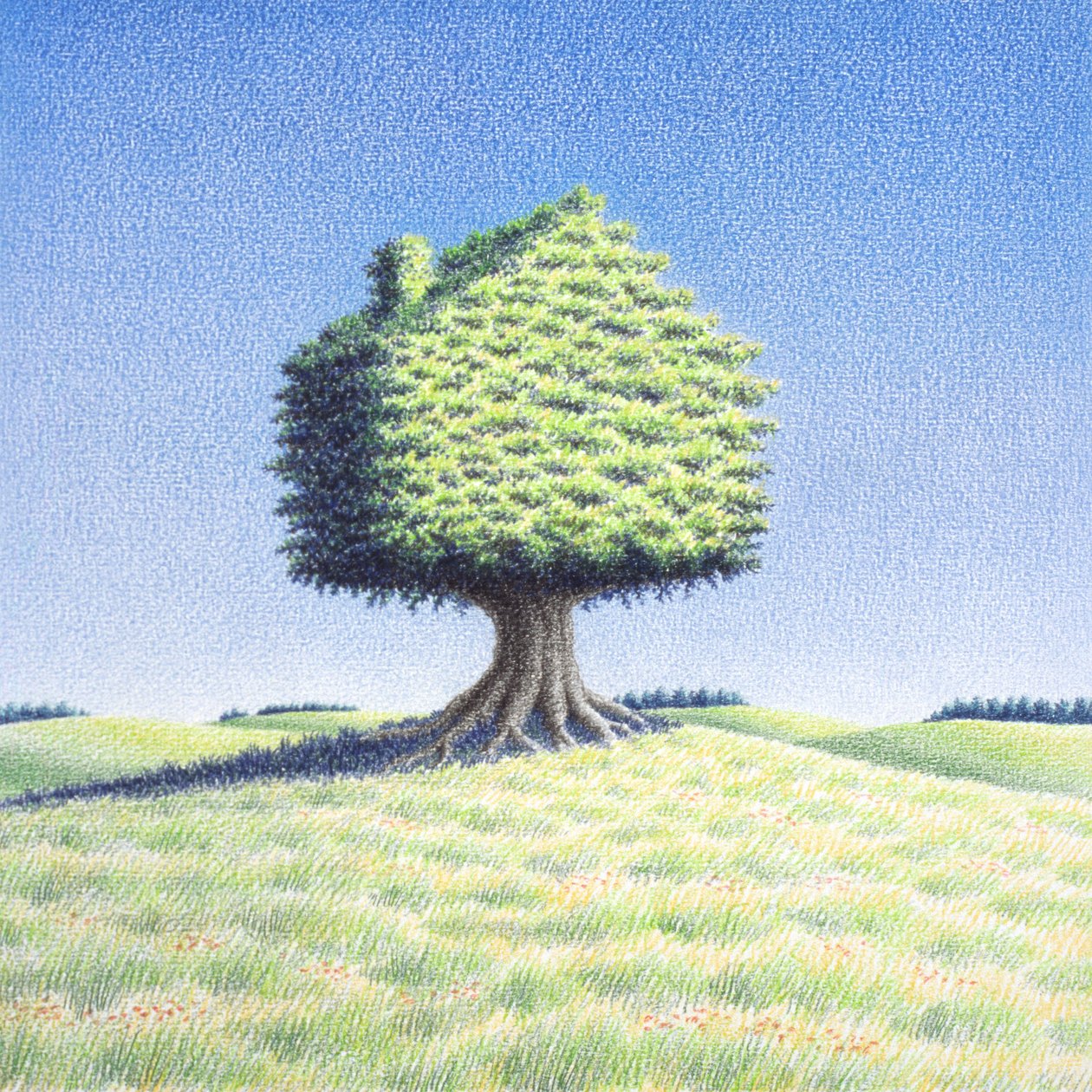 Cabane dans les arbres - Rene Boin
