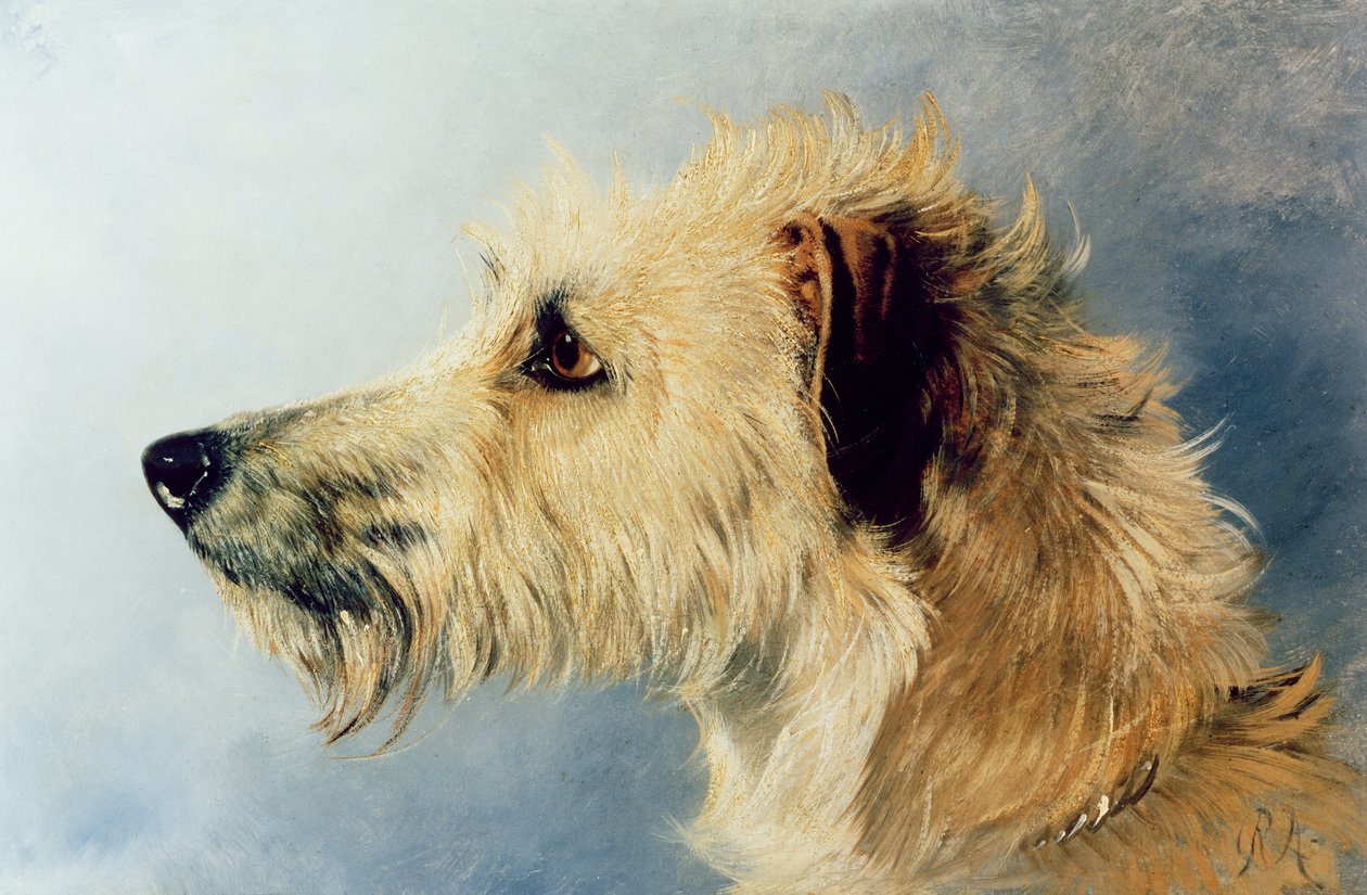 Tête de chien - Richard Ansdell