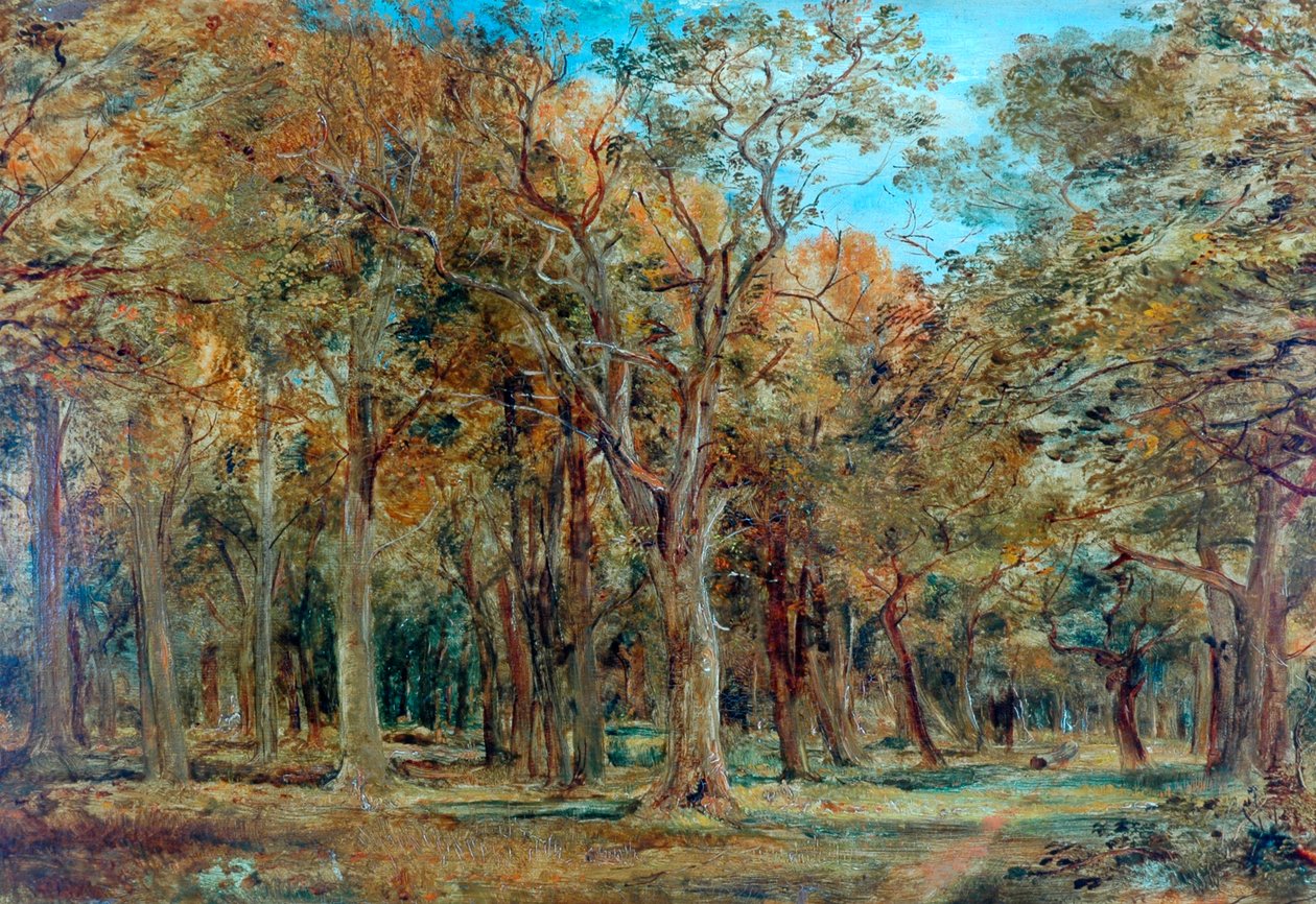 Forêt de Sherwood - Richard Sebastian Bond