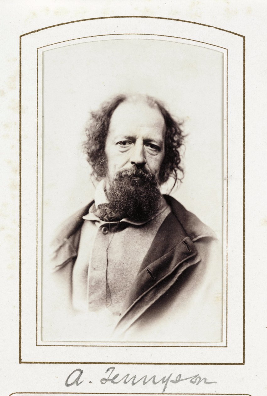 Un Tennyson, vers 1864 - John Pardon