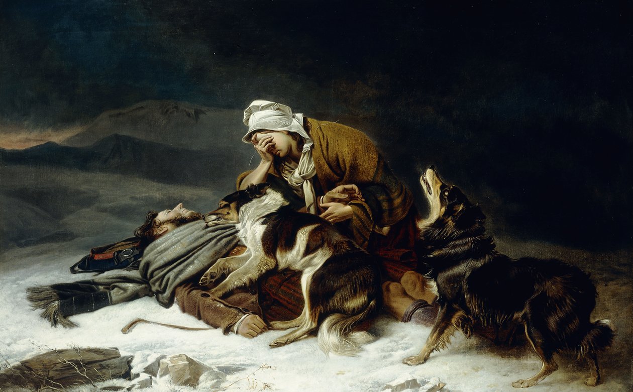Perdu dans la tempête - Richard Ansdell