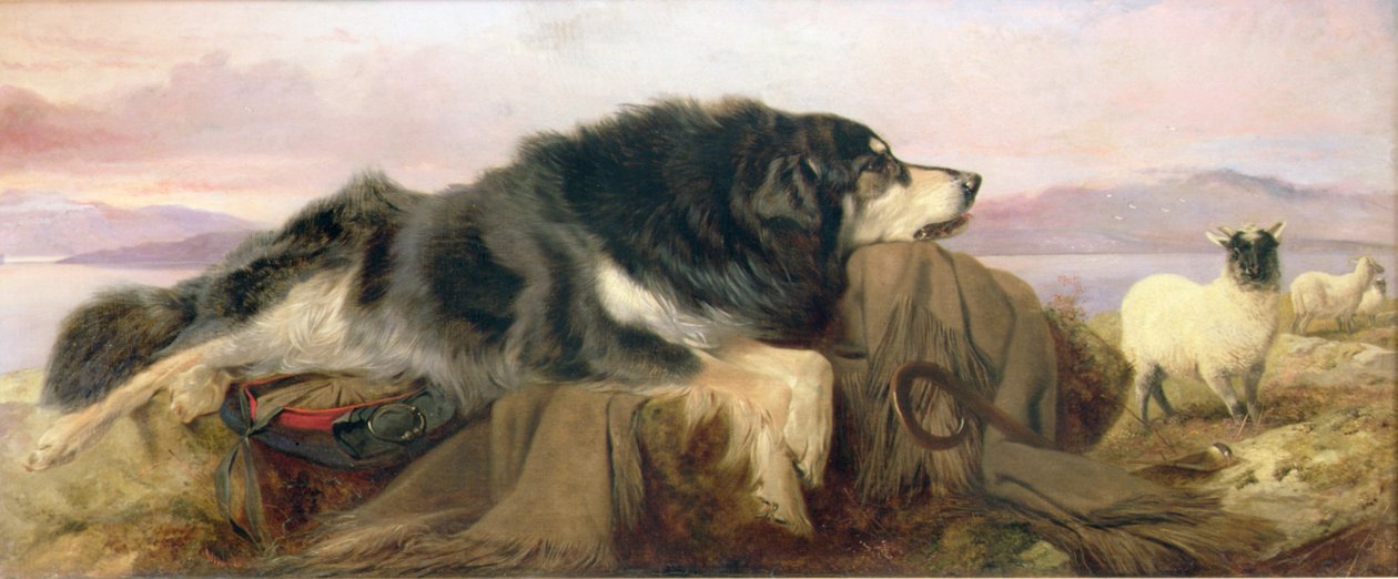 Le Chien du Berger - Richard Ansdell
