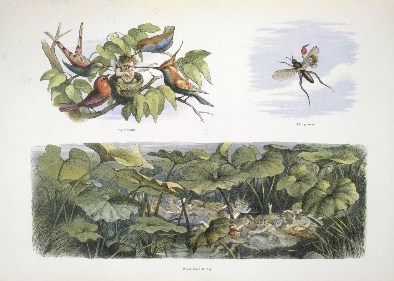 Elfes - Richard Doyle