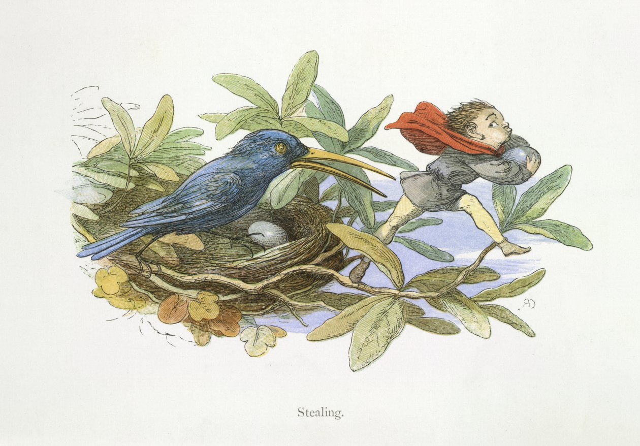 Vol - Richard Doyle
