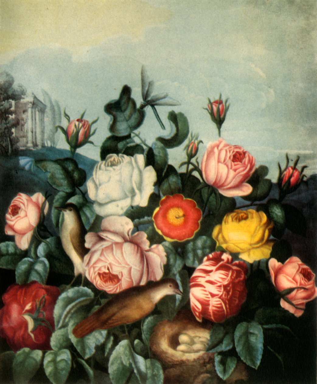 Roses, 1799, 1944 - Richard Earlom