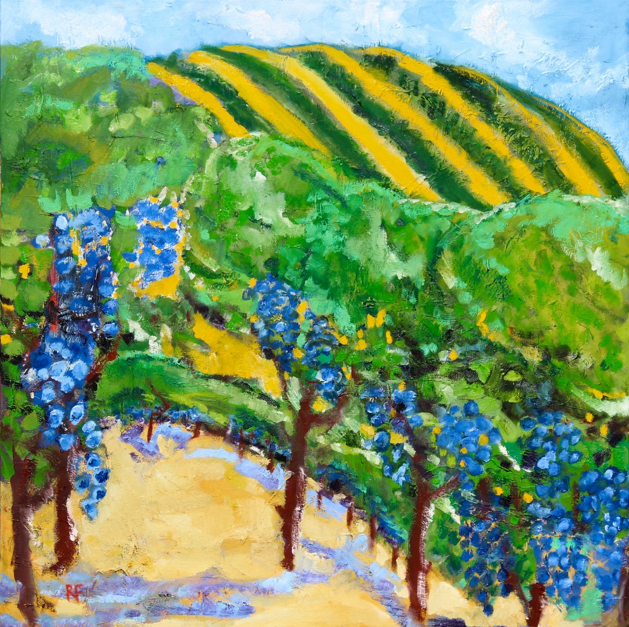 Vignoble et collines ondulantes, 2019 - Richard Fox