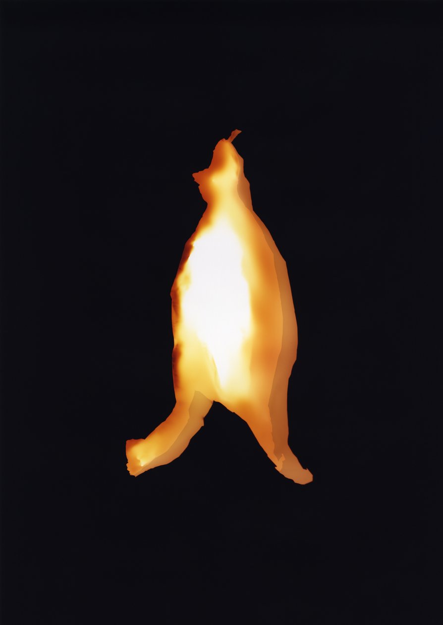 Sans titre, 2004 - Richard Green