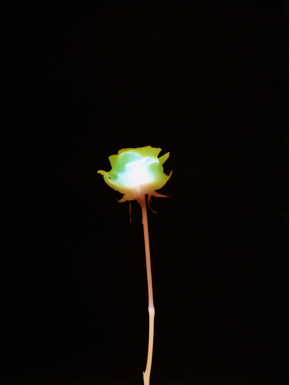 Sans titre, 2007 - Richard Green