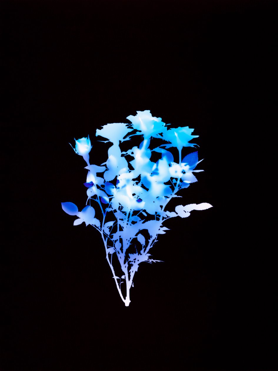 Sans titre, 2008 - Richard Green