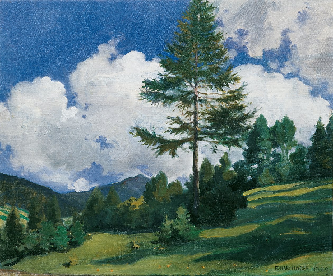 Motif près de Toblach - Richard Harlfinger