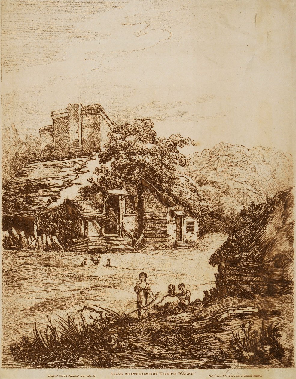 Vue près de Montgomery - Richard Sass