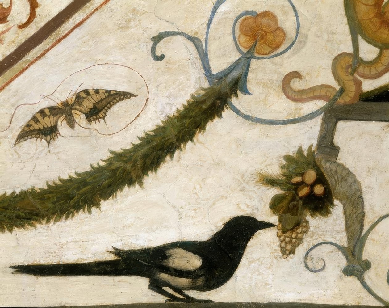 Grotesque, Oiseau - Ridolfo Ghirlandaio