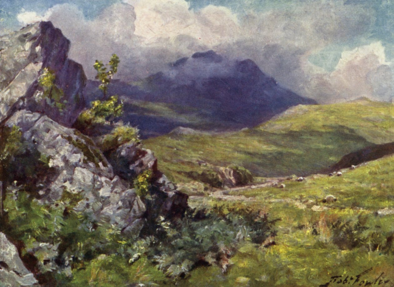 Vue de Moelwyn - Robert (after) Fowler