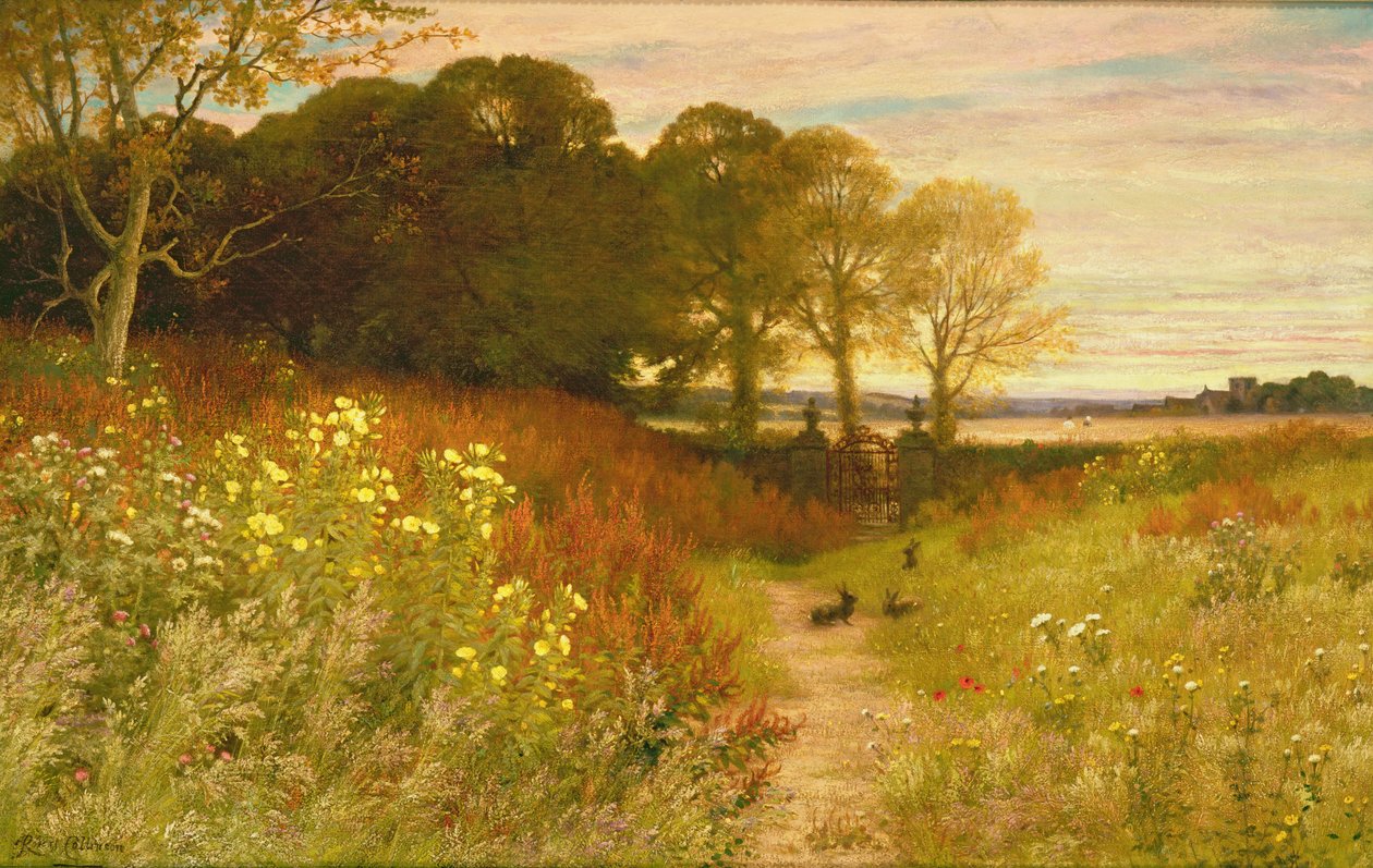 Paysage avec fleurs sauvages et lapins - Robert Collinson