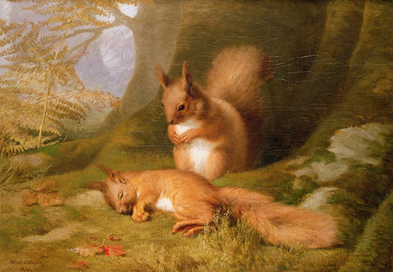 Écureuils dans un bois, 1874 - Robert Collinson
