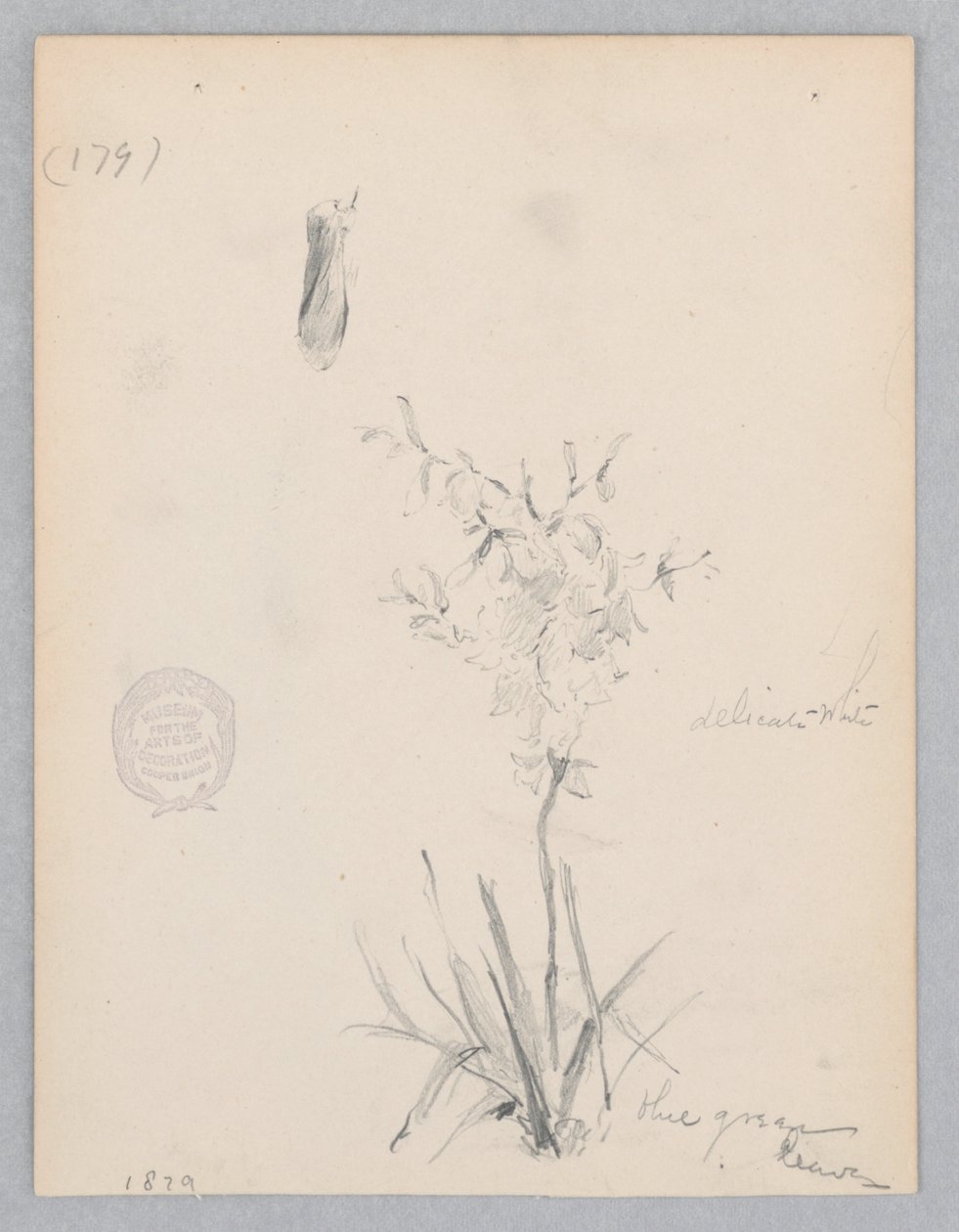 Plante en fleur - Robert Frederick Blum