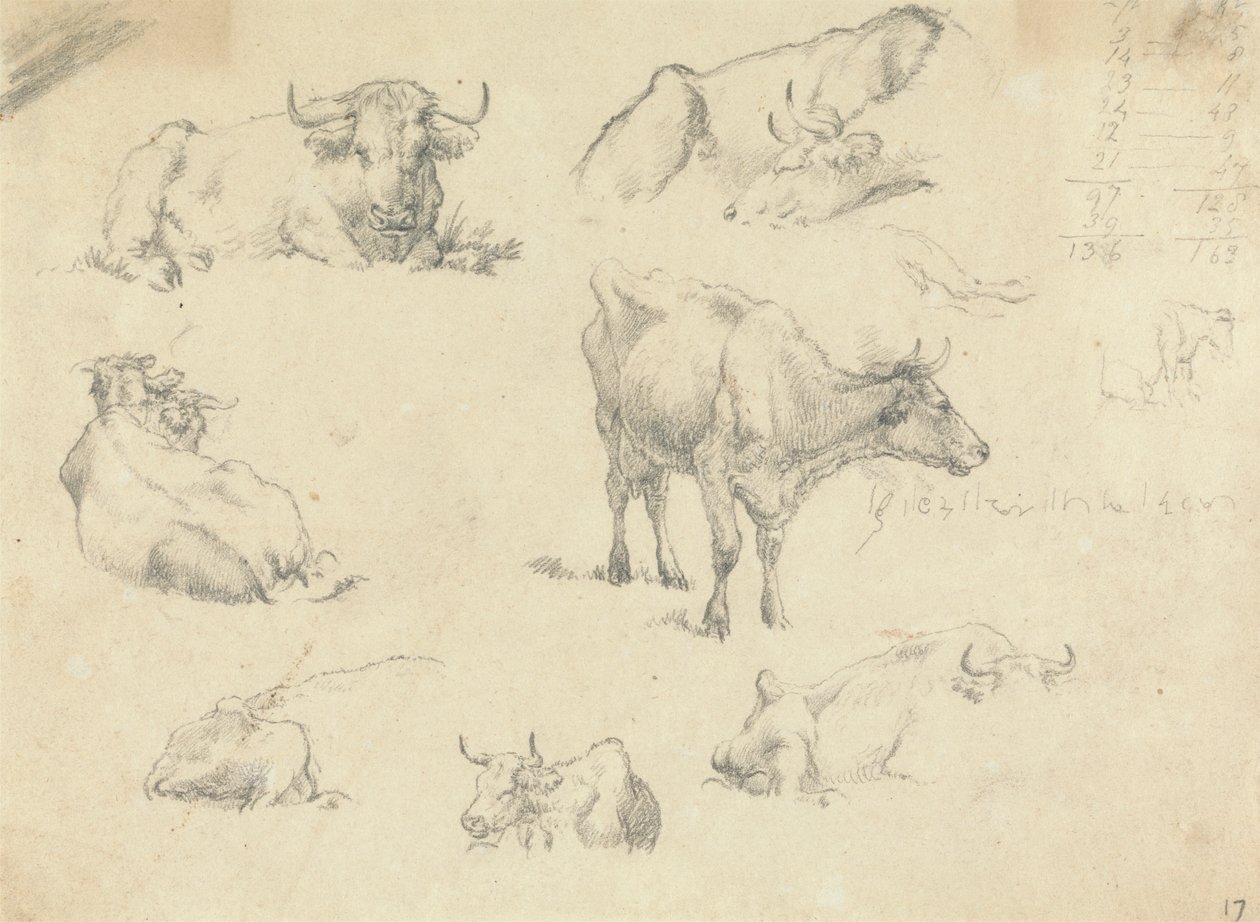 Vaches sous divers angles - Robert Hills