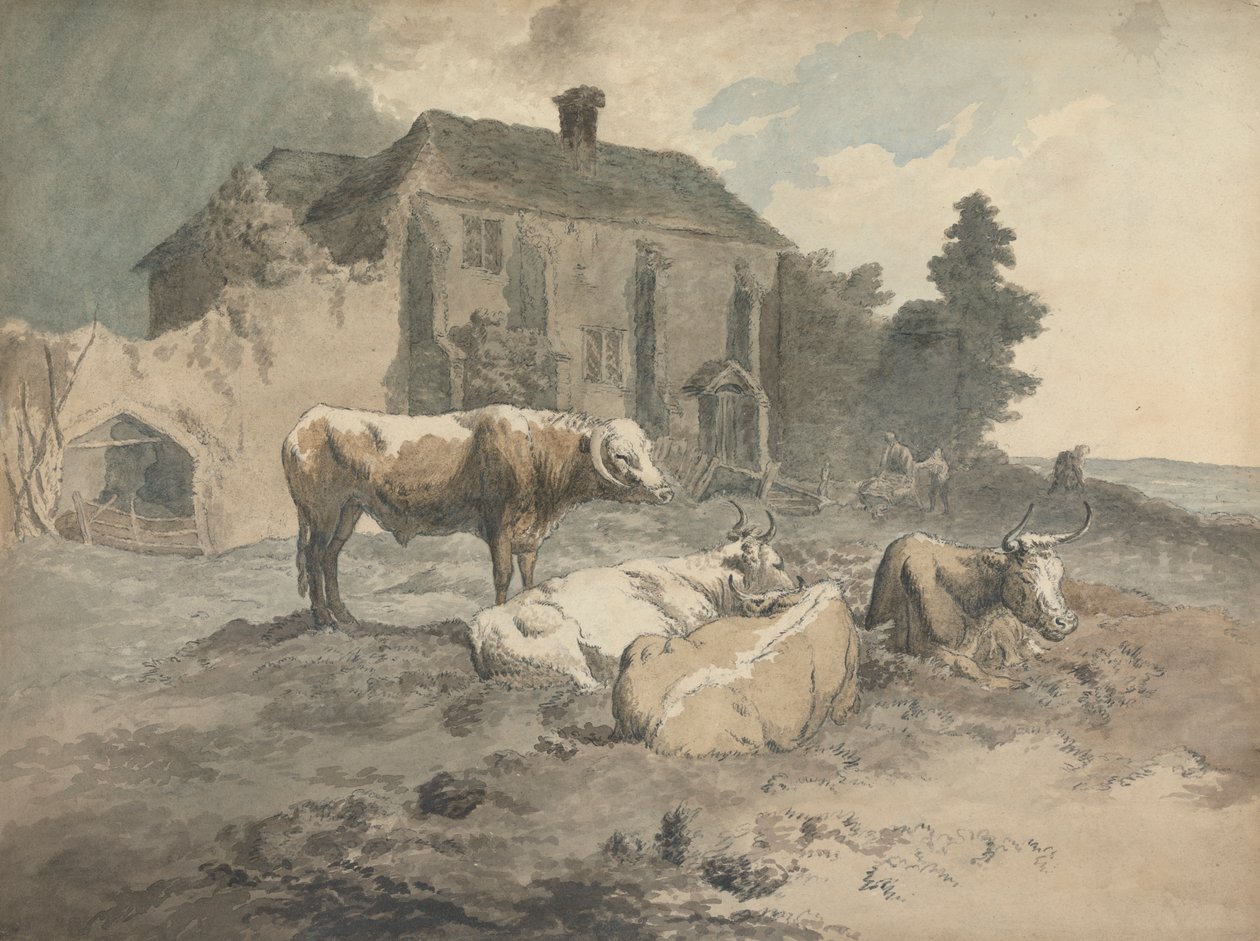 Bétail à longues cornes - Robert Hills