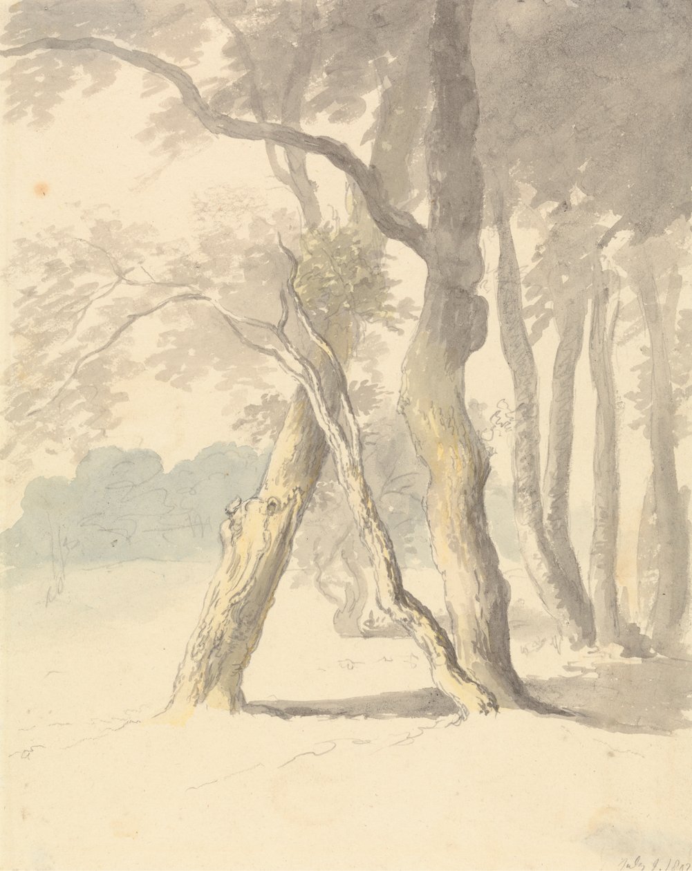 Étude de forêt - Robert Hills
